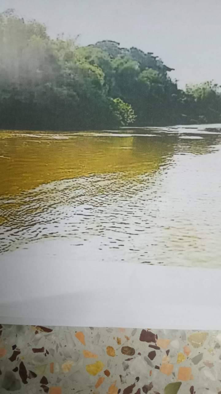 Land for sale in Thailand.1132rai of land