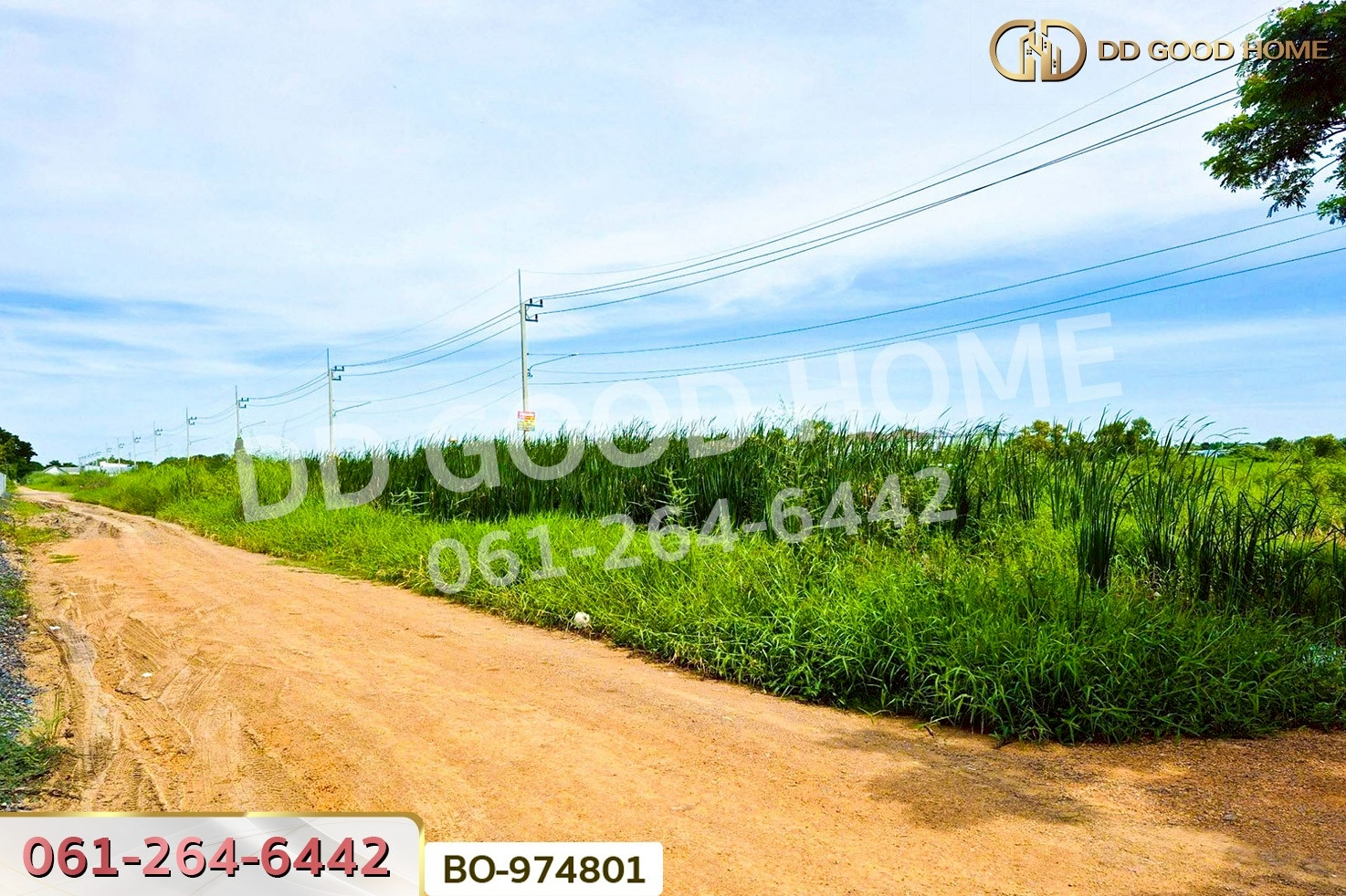 BO-974801 ที่ดินคลองสอง 1 ไร่ 19.1 ตร.ว. ปทุมธานี ใกล้ฟิวเจอร์พาร์ค รังสิต