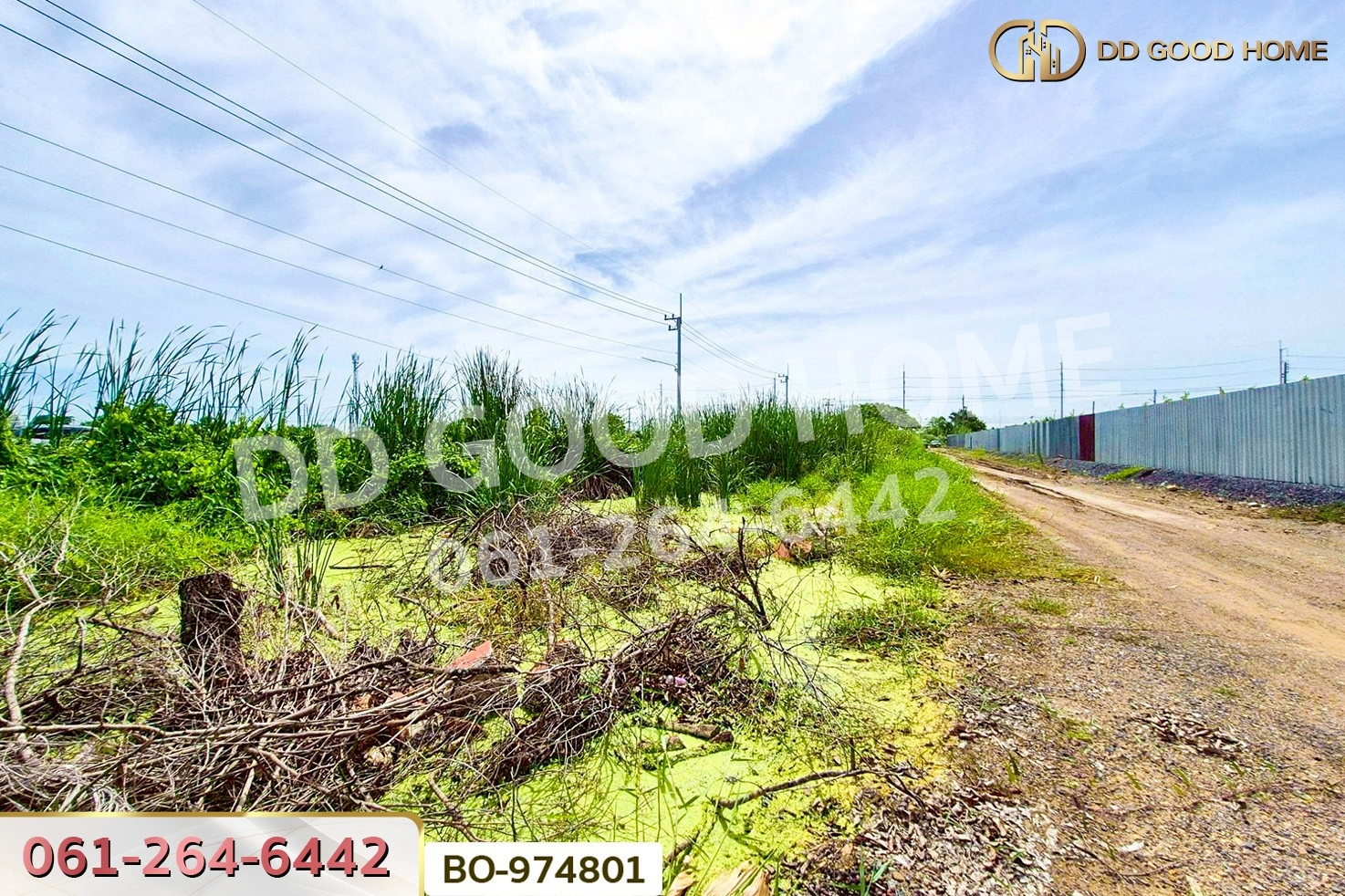 BO-974801 ที่ดินคลองสอง 1 ไร่ 19.1 ตร.ว. ปทุมธานี ใกล้ฟิวเจอร์พาร์ค รังสิต