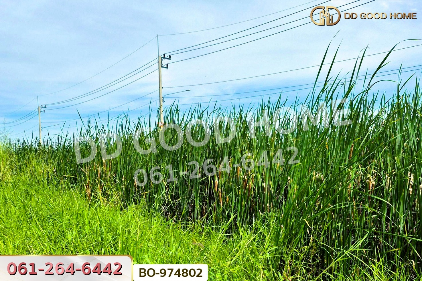 BO-974802 ที่ดินคลองสอง 377.7 ตร.ว. ปทุมธานี ใกล้ฟิวเจอร์พาร์ค รังสิต