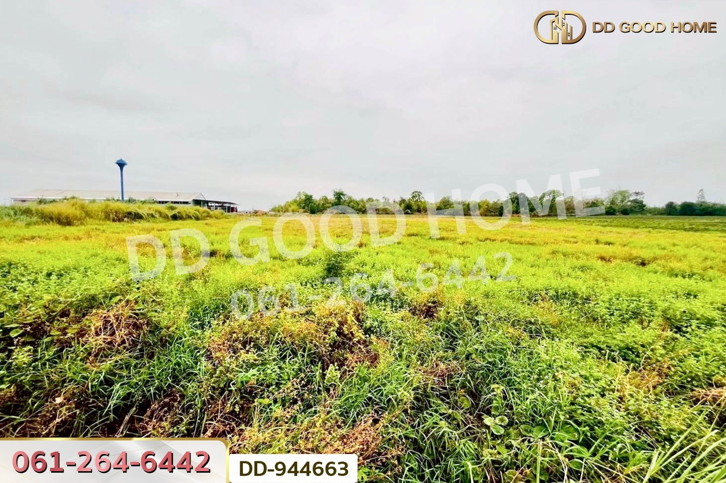 DD-944663 ที่ดินหนองหว้า 44 ไร่ 119 ตร.ว. กุมภวาปี อุดรธานี ใกล้สำนักงานเทศบาลตำบลห้วยเกิ้ง