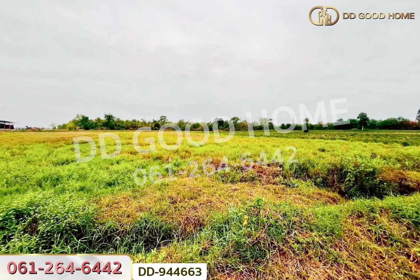 DD-944663 ที่ดินหนองหว้า 44 ไร่ 119 ตร.ว. กุมภวาปี อุดรธานี ใกล้สำนักงานเทศบาลตำบลห้วยเกิ้ง