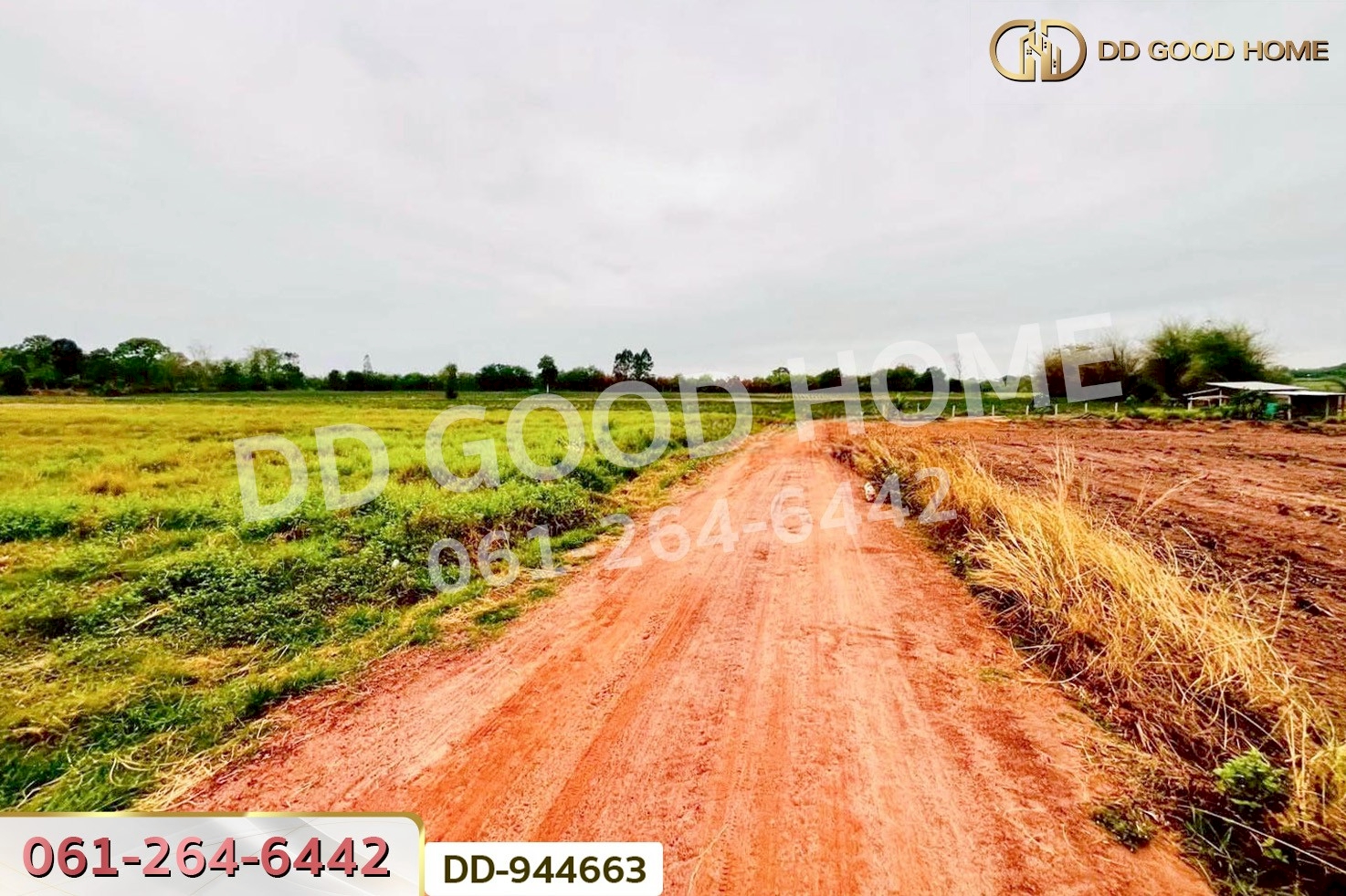 DD-944663 ที่ดินหนองหว้า 44 ไร่ 119 ตร.ว. กุมภวาปี อุดรธานี ใกล้สำนักงานเทศบาลตำบลห้วยเกิ้ง