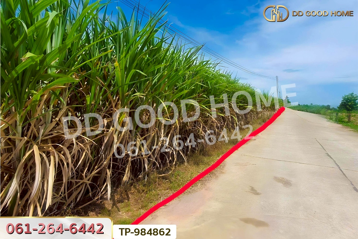 LU-984862 ที่ดินท่าม่วง 22 ไร่ 14 ตร.ว. กาญจนบุรี ใกล้โรงพยาบาลส่งเสริมสุขภาพตำบลนพกิจโกศล