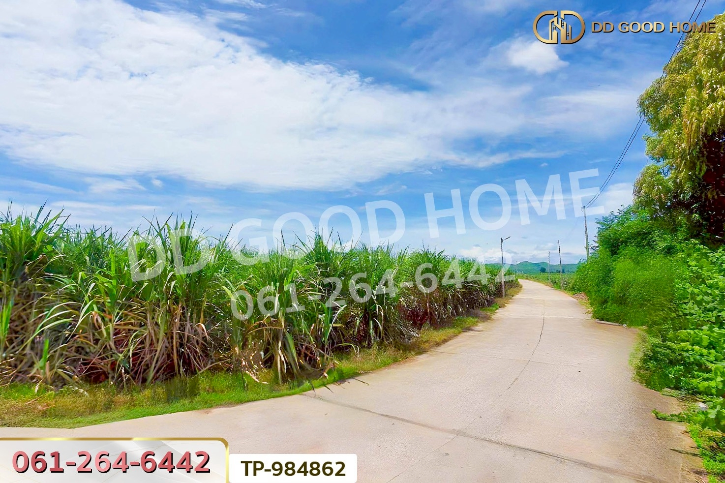 LU-984862 ที่ดินท่าม่วง 22 ไร่ 14 ตร.ว. กาญจนบุรี ใกล้โรงพยาบาลส่งเสริมสุขภาพตำบลนพกิจโกศล