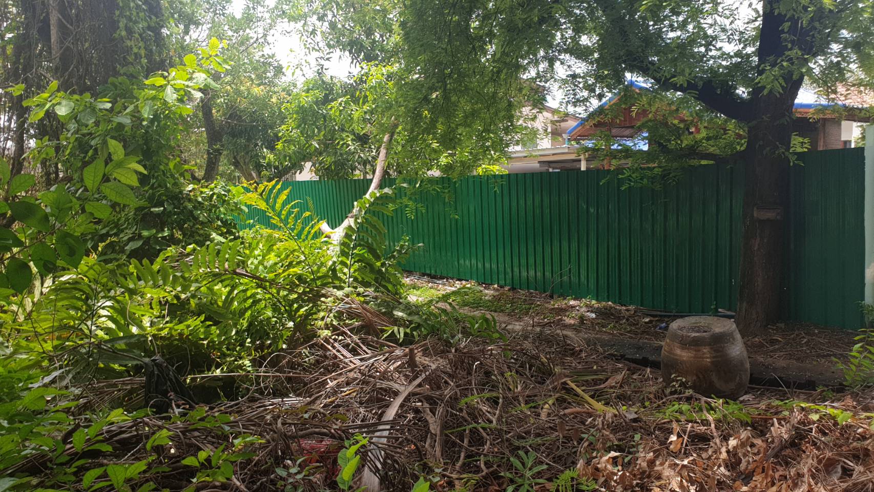 ขายที่ดินเปล่า ในบางไผ่ เมืองนนทบุรี ติดวัดสังฆทาน เนื้อที่ 2 ไร่ 45 ตร.วา (845 ตารางวา)