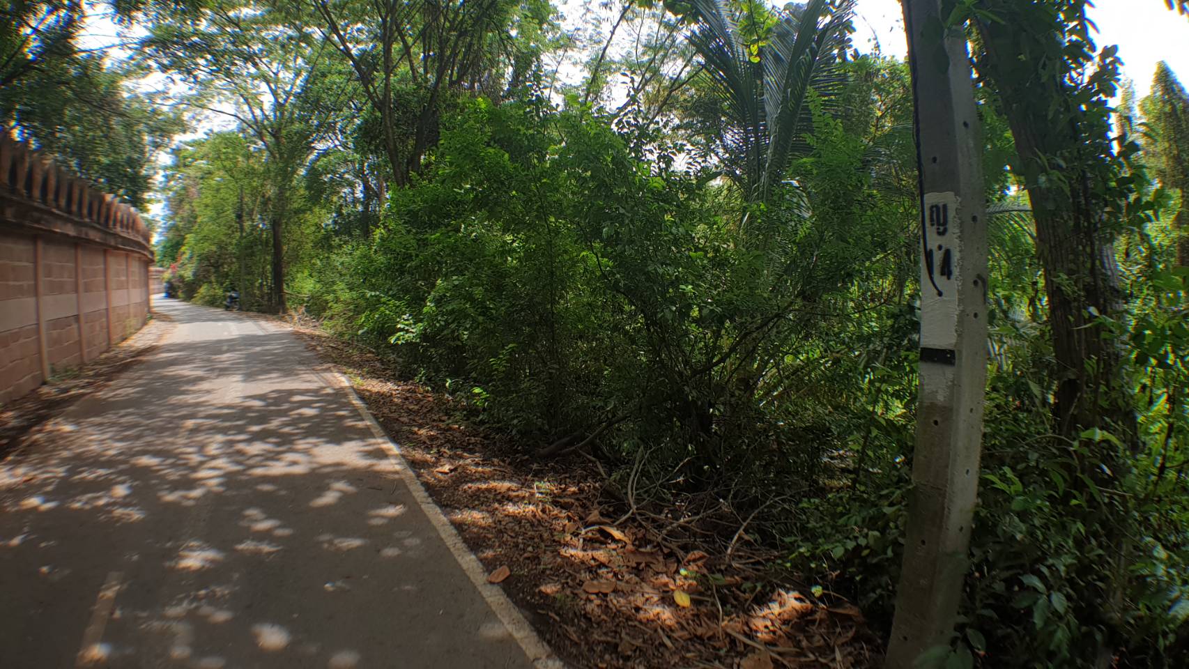 ขายที่ดินเปล่า ในบางไผ่ เมืองนนทบุรี ติดวัดสังฆทาน เนื้อที่ 2 ไร่ 45 ตร.วา (845 ตารางวา)