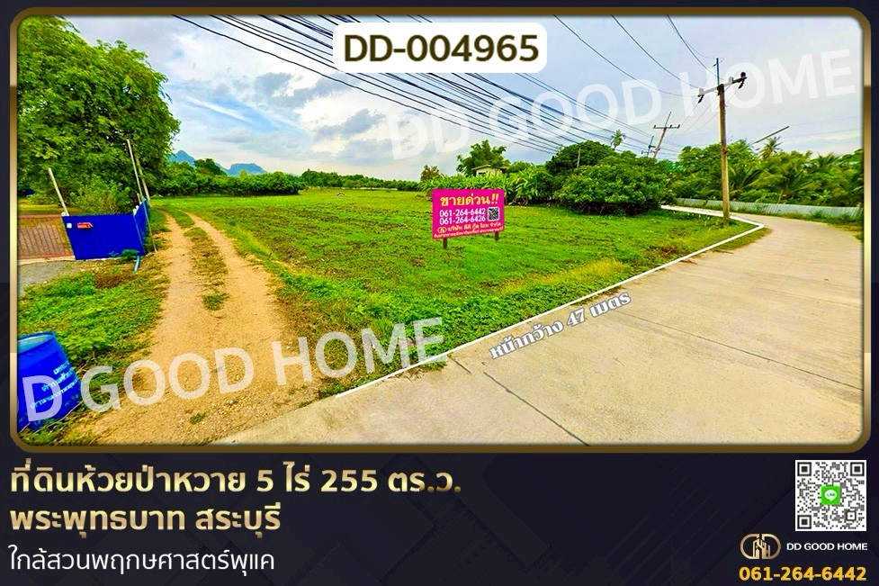 DD-004965 ที่ดินห้วยป่าหวาย 5 ไร่ 255 ตร.ว.พระพุทธบาท สระบุรี ใกล้สวนพฤกษศาสตร์พุแค