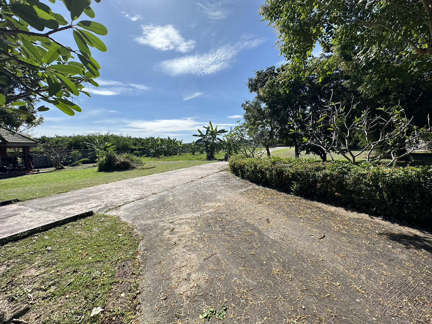 ขายที่ดินเปล่า ทำเลทอง  ใกล้ทะเลเพียง 600 เมตร อำเภอเมือง จังหวัดชลบุรี