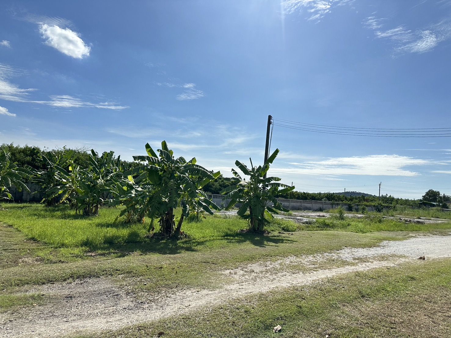 ขายที่ดินเปล่า ทำเลทอง  ใกล้ทะเลเพียง 600 เมตร อำเภอเมือง จังหวัดชลบุรี