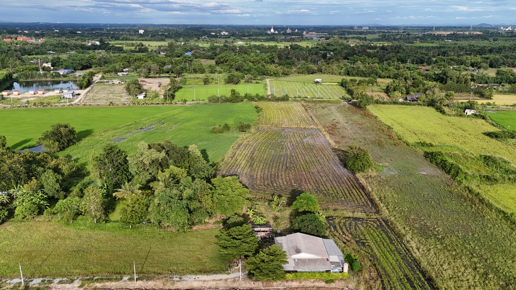 ขายที่ดินเปล่า ผังสีม่วงเข้ม พื้นที่อุตสาหกรรม อำเภอพนัสนิคม จังหวัดชลบุรี