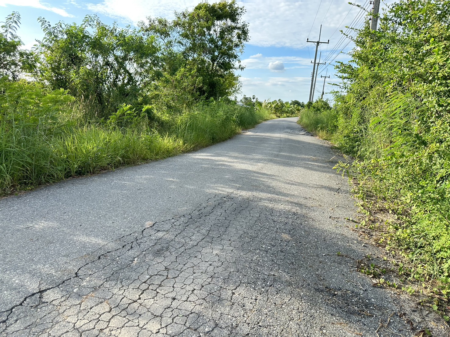 ขายที่ดินเปล่า ผังสีม่วงเข้ม พื้นที่อุตสาหกรรม อำเภอพนัสนิคม จังหวัดชลบุรี