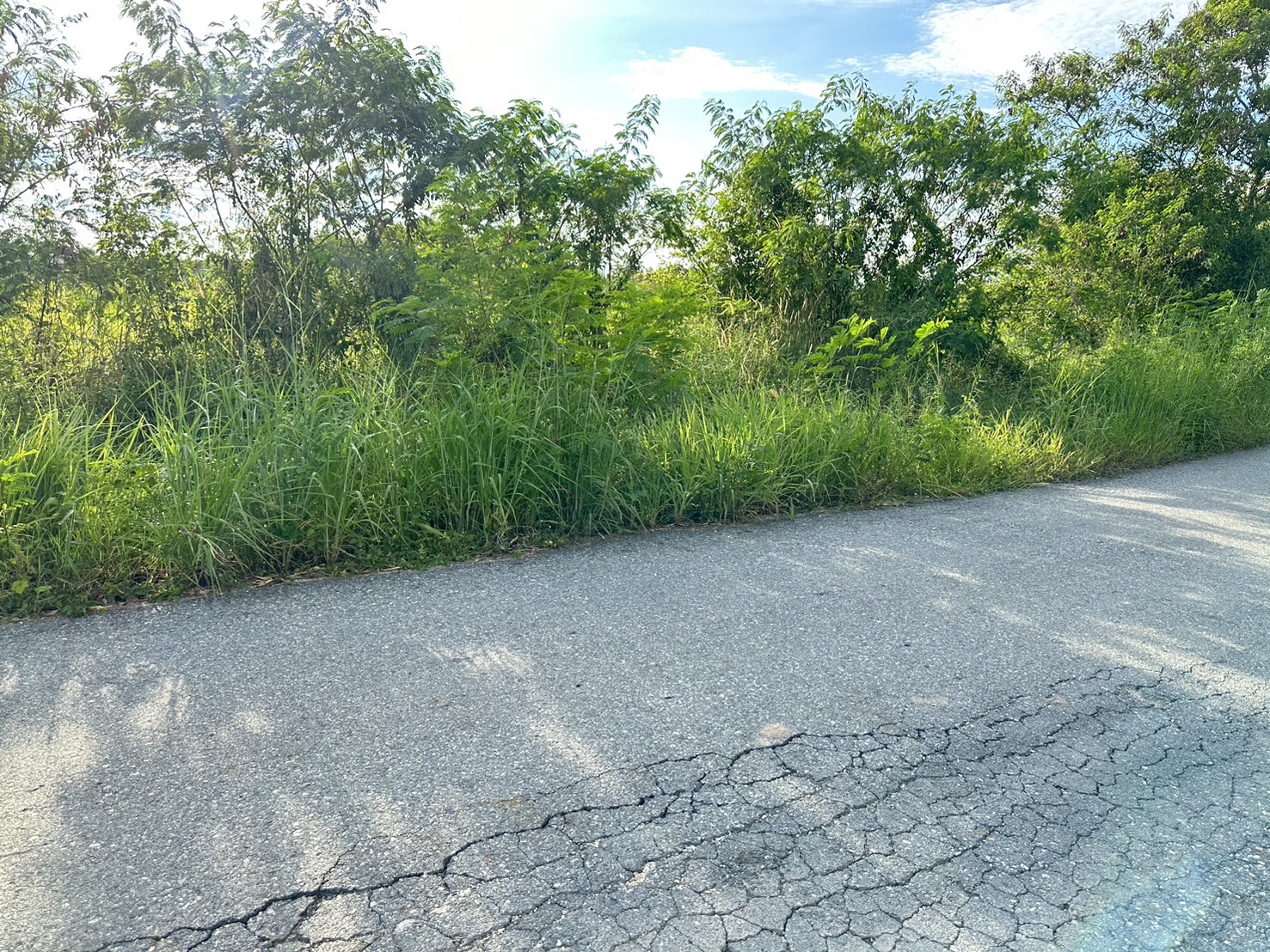 ขายที่ดินเปล่า ผังสีม่วงเข้ม พื้นที่อุตสาหกรรม อำเภอพนัสนิคม จังหวัดชลบุรี