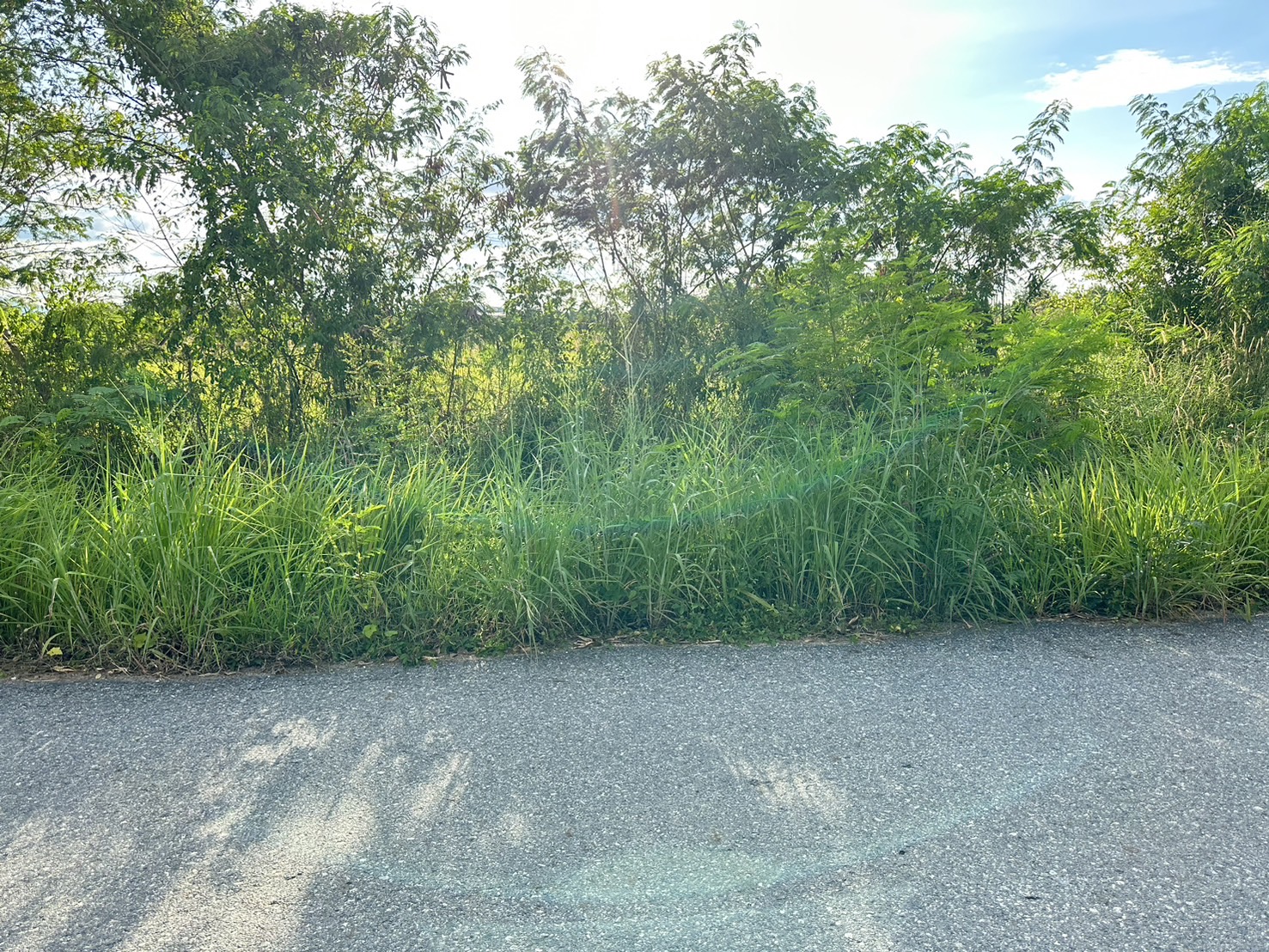 ขายที่ดินเปล่า ผังสีม่วงเข้ม พื้นที่อุตสาหกรรม อำเภอพนัสนิคม จังหวัดชลบุรี