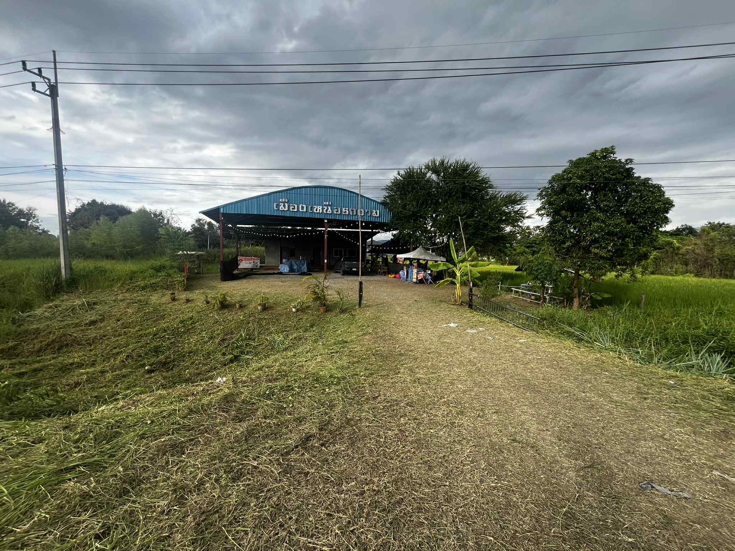 ขายที่ดินพร้อมโฉนด น.ส.4จ (ครุฑแดง) – ทำเลทองย่านสันผีเสื้อ อ.เมือง จ.เชียงใหม่