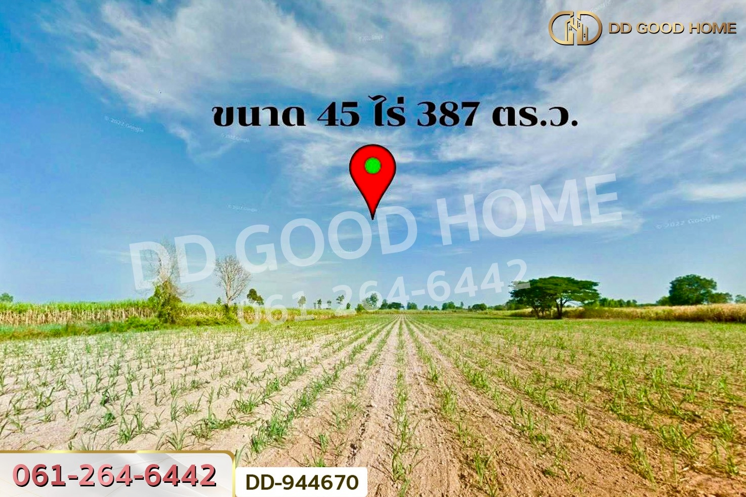 DD-944670 ที่ดินโคกกลาง 45 ไร่ 387 ตร.ว. โนนสะอาด อุดรธานี ใกล้สำนักงานสาธารณสุขอำเภอโนนสะอาด