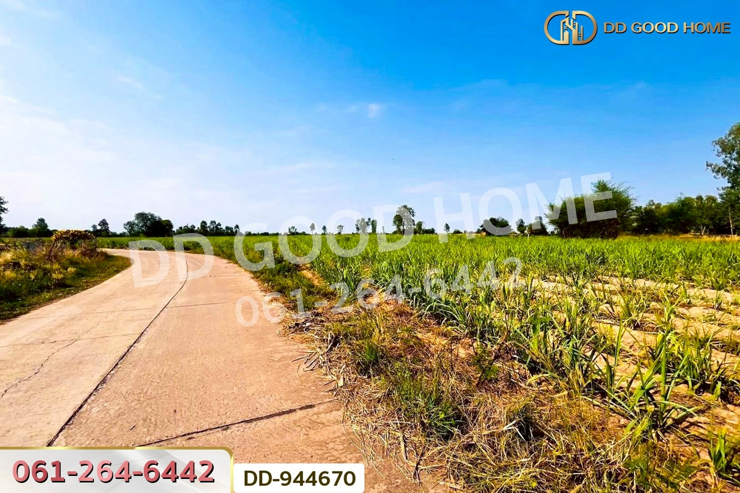 DD-944670 ที่ดินโคกกลาง 45 ไร่ 387 ตร.ว. โนนสะอาด อุดรธานี ใกล้สำนักงานสาธารณสุขอำเภอโนนสะอาด