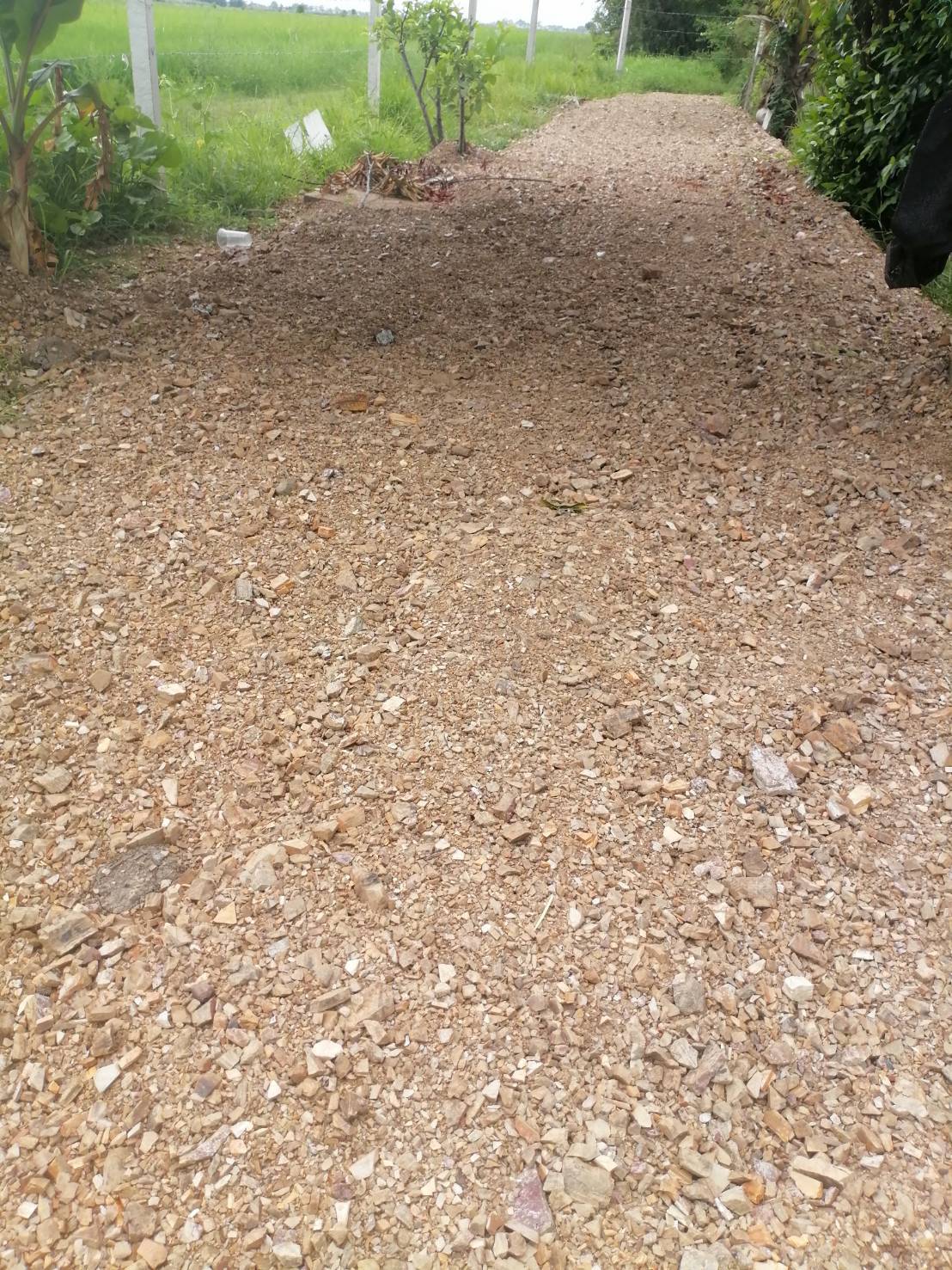 ขายที่ดินรูปสี่เหลี่ยมผืนผ้าสวย ใกล้คลอง 15 บึงน้ำรักษ์ จังหวัดฉะเชิงเทรา