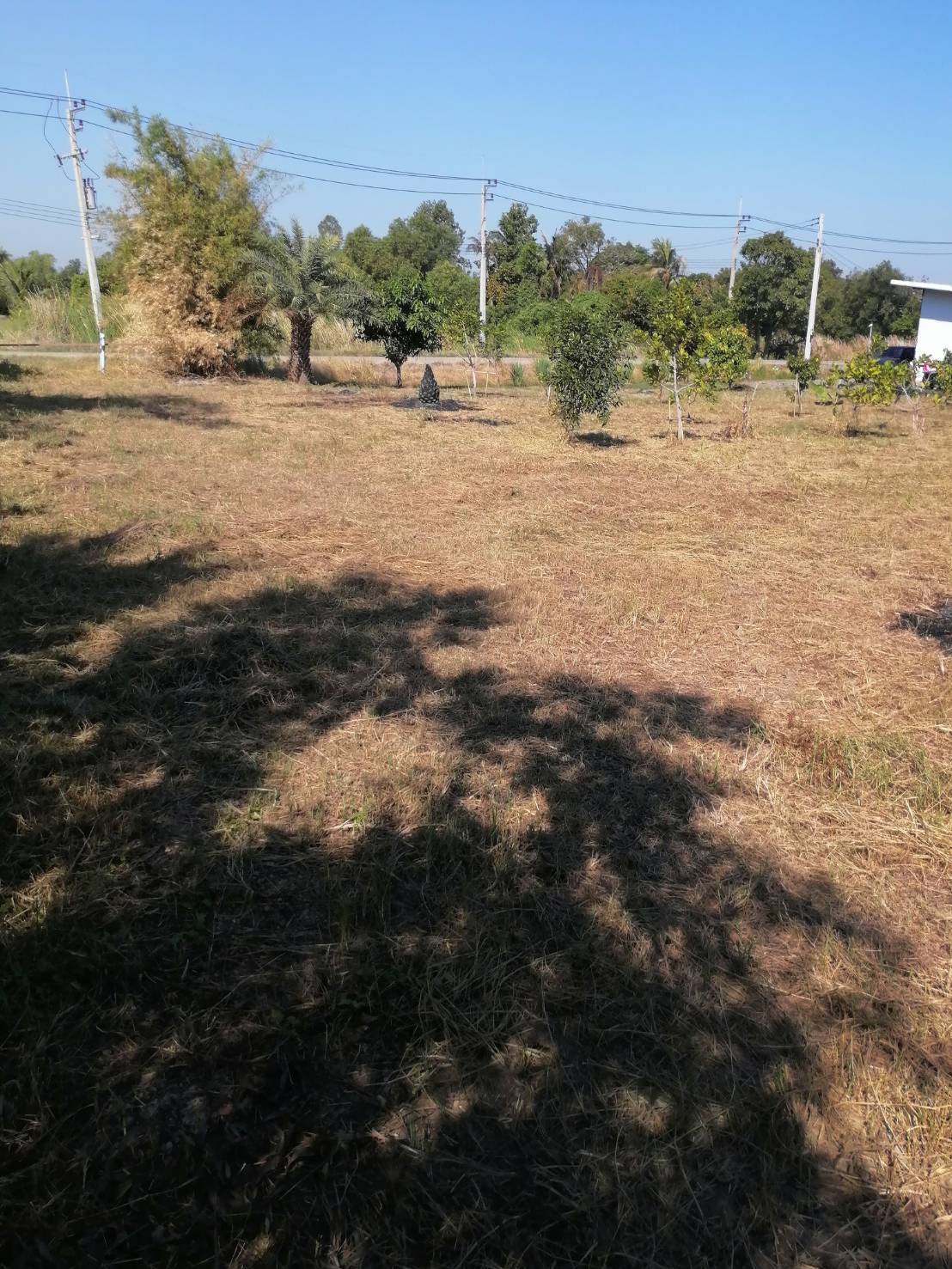 ขายที่ดินรูปสี่เหลี่ยมผืนผ้าสวย ใกล้คลอง 15 บึงน้ำรักษ์ จังหวัดฉะเชิงเทรา