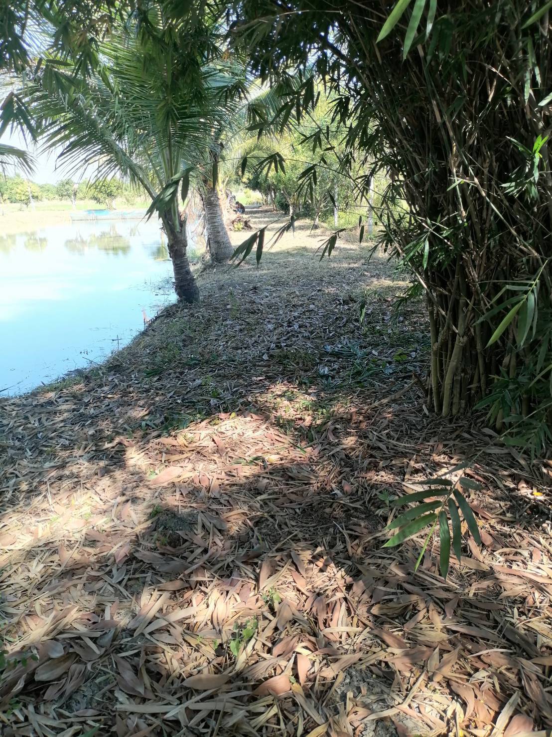 ขายที่ดินรูปสี่เหลี่ยมผืนผ้าสวย ใกล้คลอง 15 บึงน้ำรักษ์ จังหวัดฉะเชิงเทรา