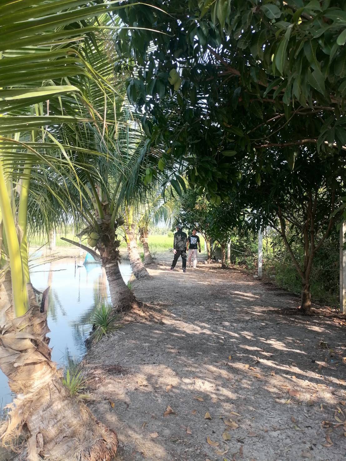 ขายที่ดินรูปสี่เหลี่ยมผืนผ้าสวย ใกล้คลอง 15 บึงน้ำรักษ์ จังหวัดฉะเชิงเทรา