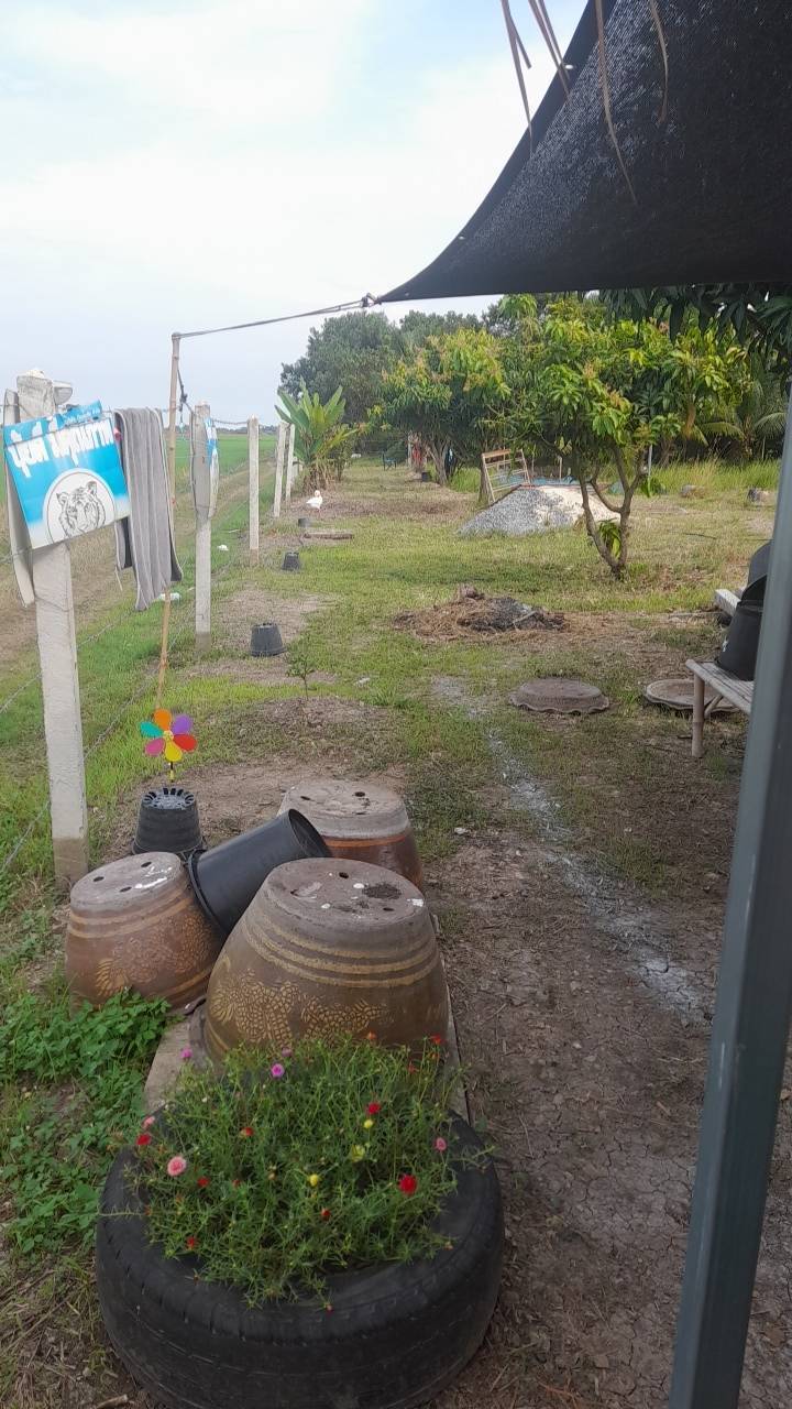 ขายที่ดินรูปสี่เหลี่ยมผืนผ้าสวย ใกล้คลอง 15 บึงน้ำรักษ์ จังหวัดฉะเชิงเทรา