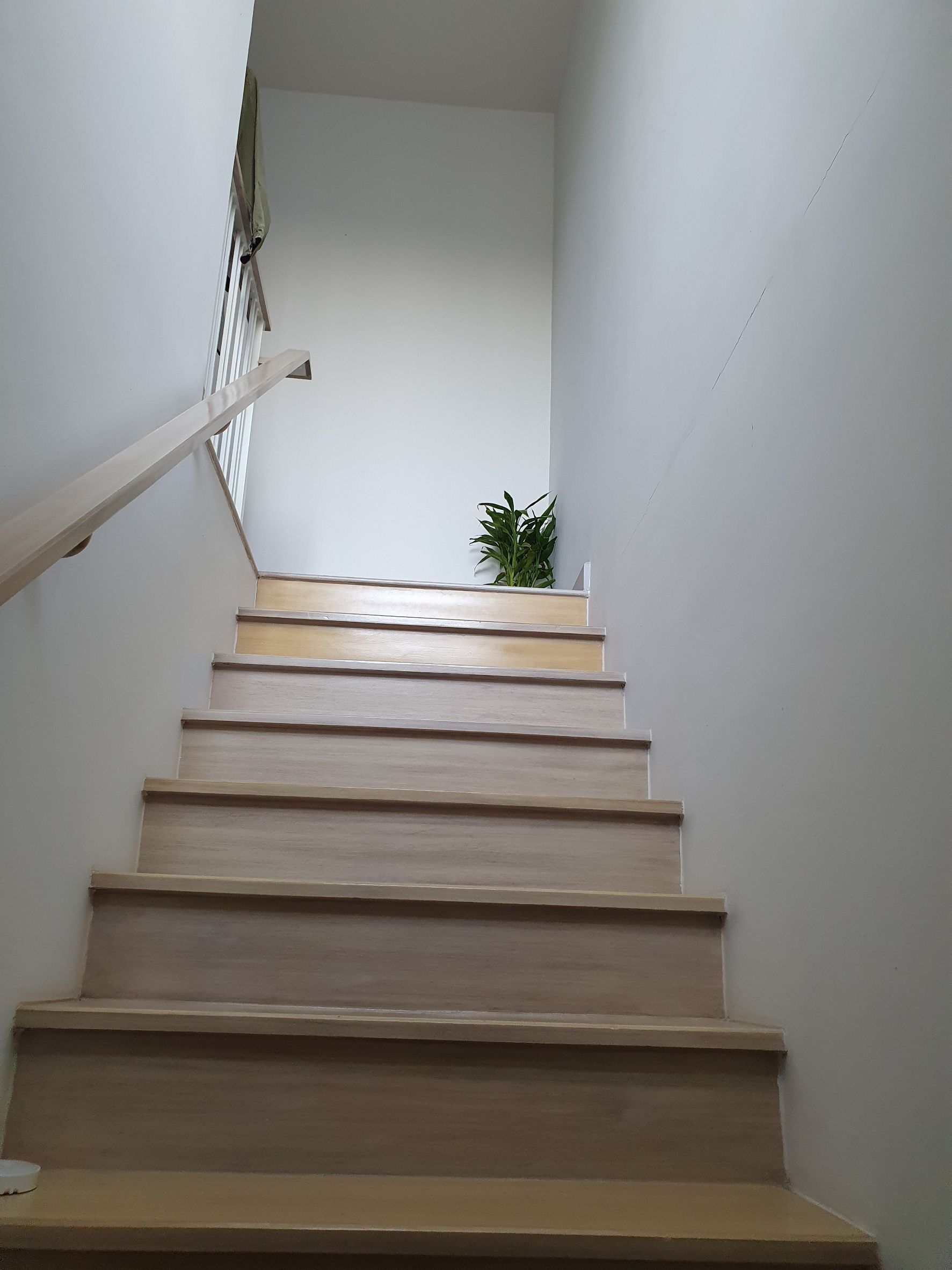 ขายบ้านทาวน์โฮม  2 ชั้น หมู่บ้านซิตี้เซนส์ ท่าข้าม – บางขุนเทียน ทำเลทอง ใกล้สวนกุหลาบธนบุรี