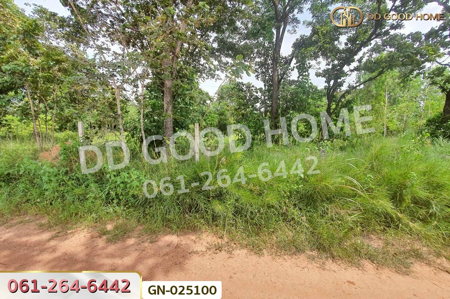 GN-025100 ที่ดินบ้านเล่า 5 ไร่ ชัยภูมิ ใกล้โรงเรียนโสตศึกษาจังหวัดชัยภูมิ