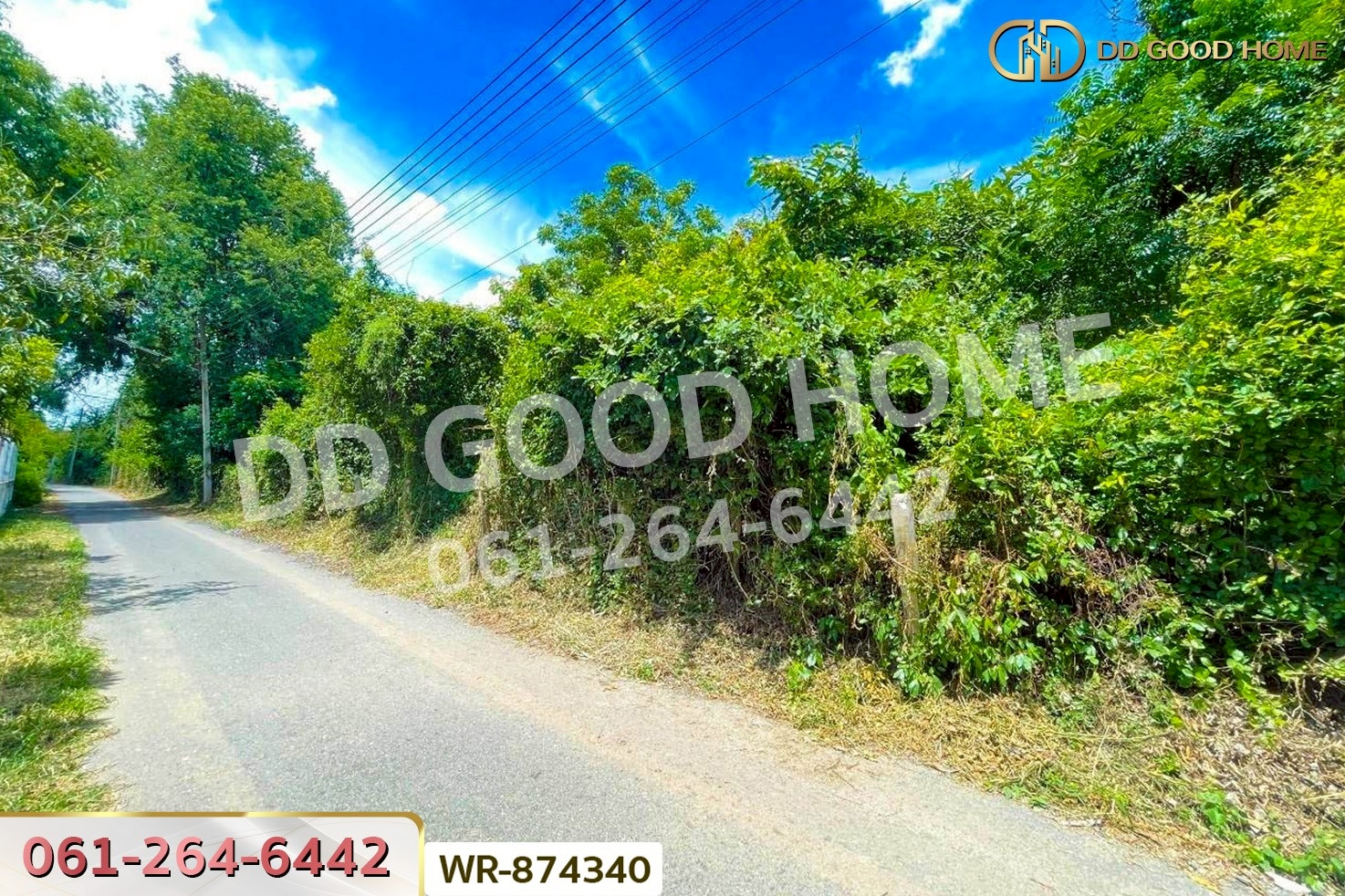 WR-874340 ที่ดิน มหาราช 5 ไร่ อยุธยา ใกล้พุทธอุทยานมหาราช หลวงปู่ทวด
