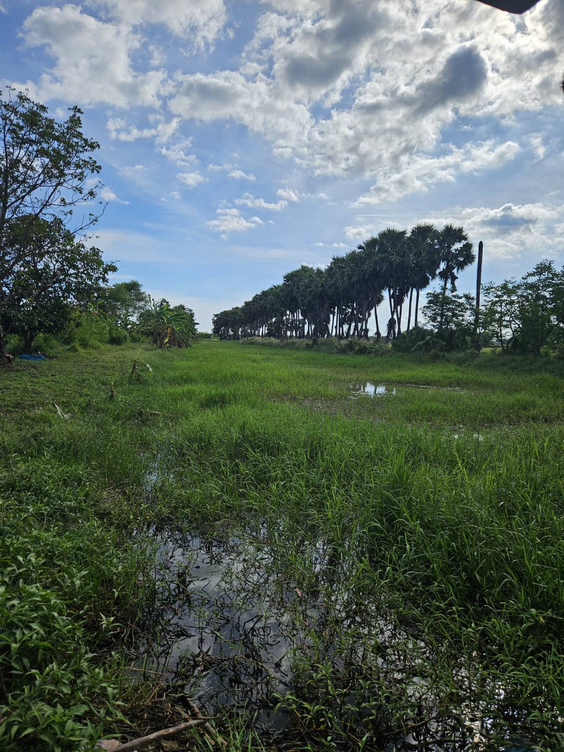 ให้เช่า /Rent/ ต่ำกว่าราคา ที่ดินพร้อมสิ่งปลูกสร้าง1หลัง จ.นครนายก