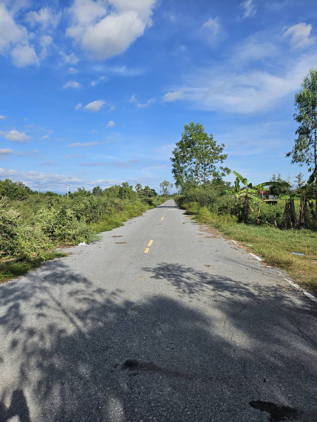 ให้เช่า /Rent/ ต่ำกว่าราคา ที่ดินพร้อมสิ่งปลูกสร้าง1หลัง จ.นครนายก