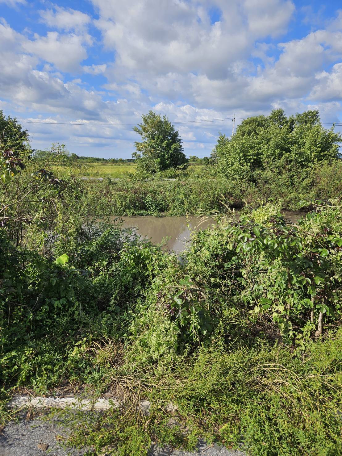 ให้เช่า /Rent/ ต่ำกว่าราคา ที่ดินพร้อมสิ่งปลูกสร้าง1หลัง จ.นครนายก