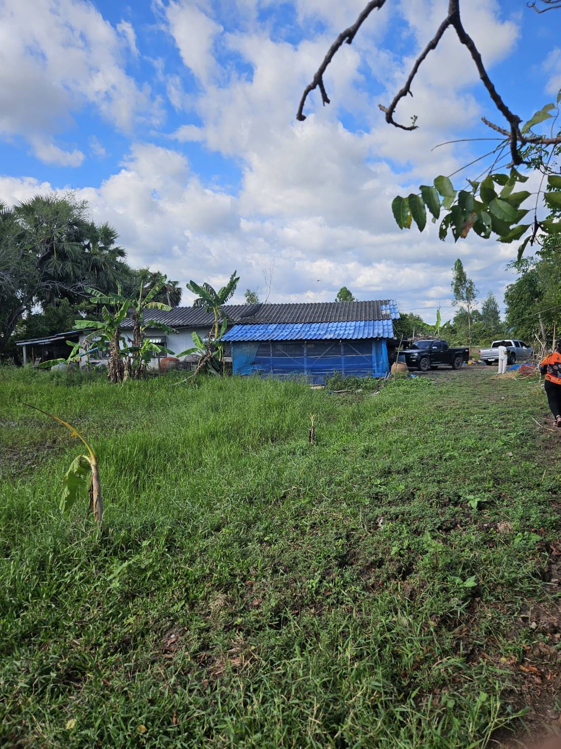 ให้เช่า /Rent/ ต่ำกว่าราคา ที่ดินพร้อมสิ่งปลูกสร้าง1หลัง จ.นครนายก