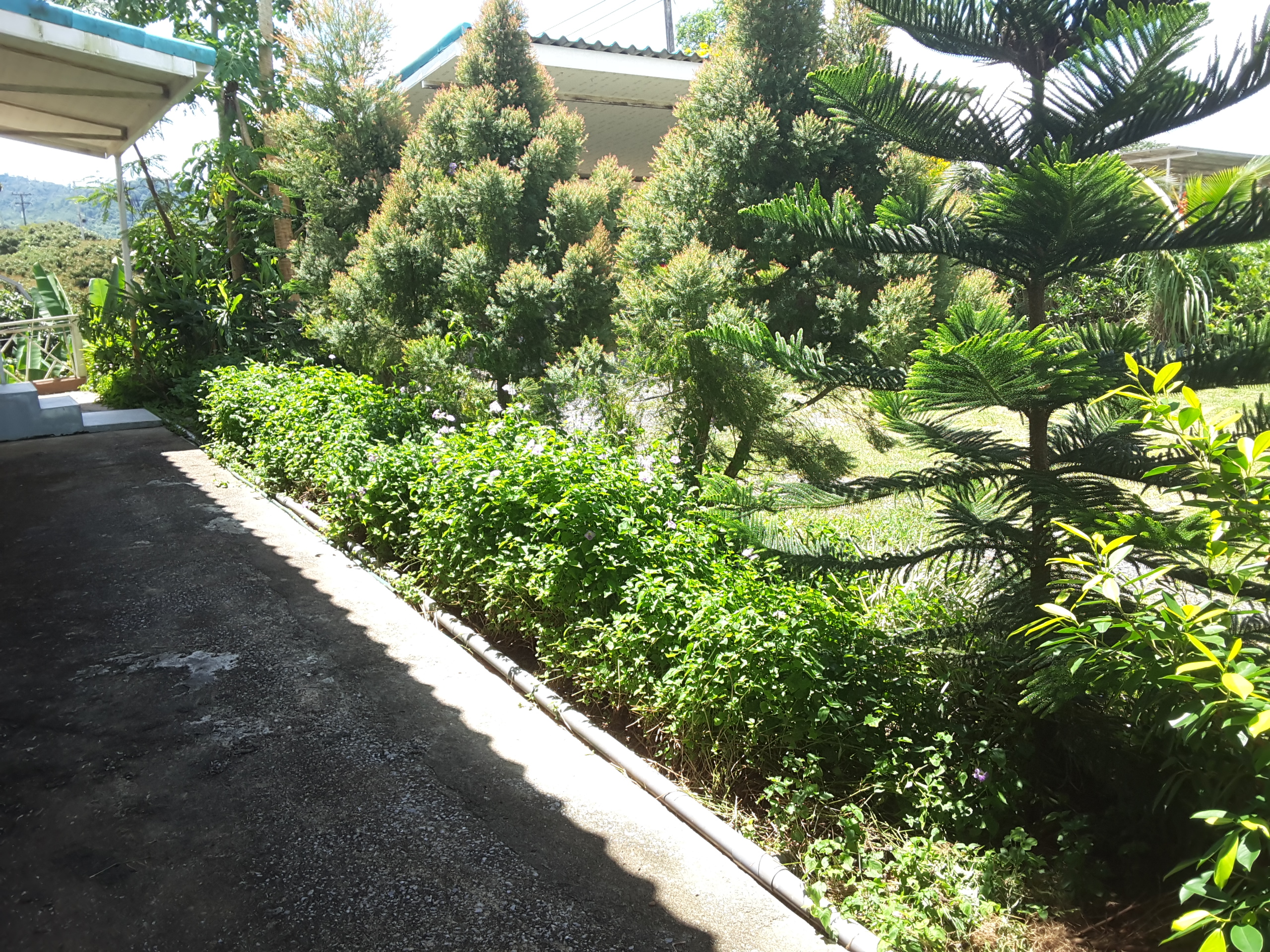 ขายบ้านสวนบรรยากาศรีสอร์ท ใกล้ทะเล แหล่งท่องเที่ยวท่ามกลางธรรมชาติและขุนเขา…พร้อมเข้าอยู่ !!