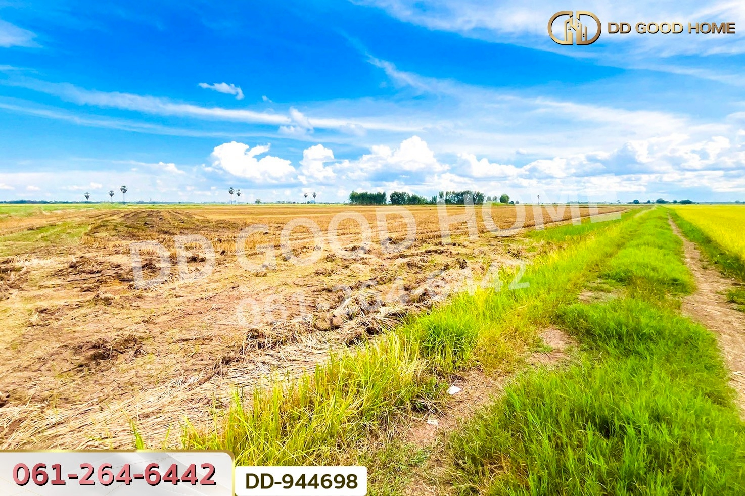 DD-944698 ที่ดินเกยไชย 5 ไร่ 20 ตร.ว. ชุมแสง นครสวรรค์ ใกล้ที่ว่าการอำเภอชุมแสง