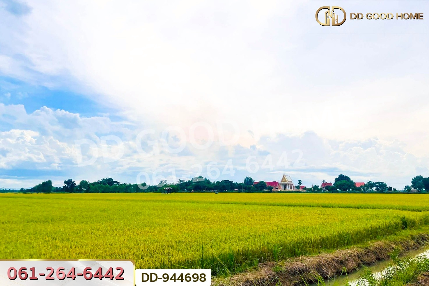 DD-944698 ที่ดินเกยไชย 5 ไร่ 20 ตร.ว. ชุมแสง นครสวรรค์ ใกล้ที่ว่าการอำเภอชุมแสง