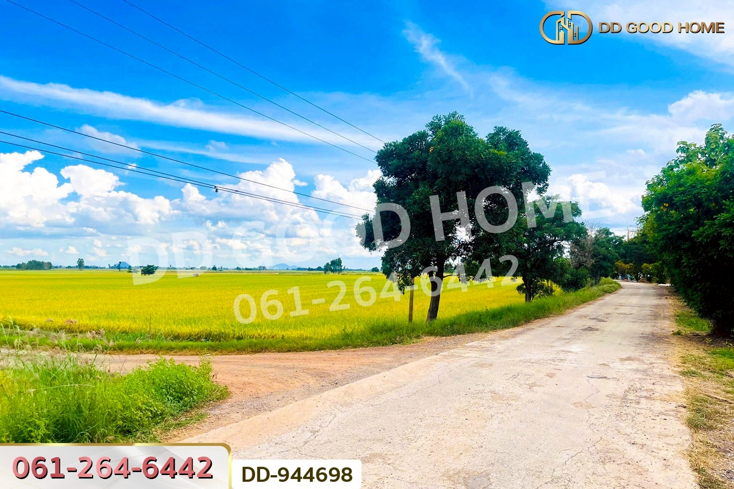 DD-944698 ที่ดินเกยไชย 5 ไร่ 20 ตร.ว. ชุมแสง นครสวรรค์ ใกล้ที่ว่าการอำเภอชุมแสง