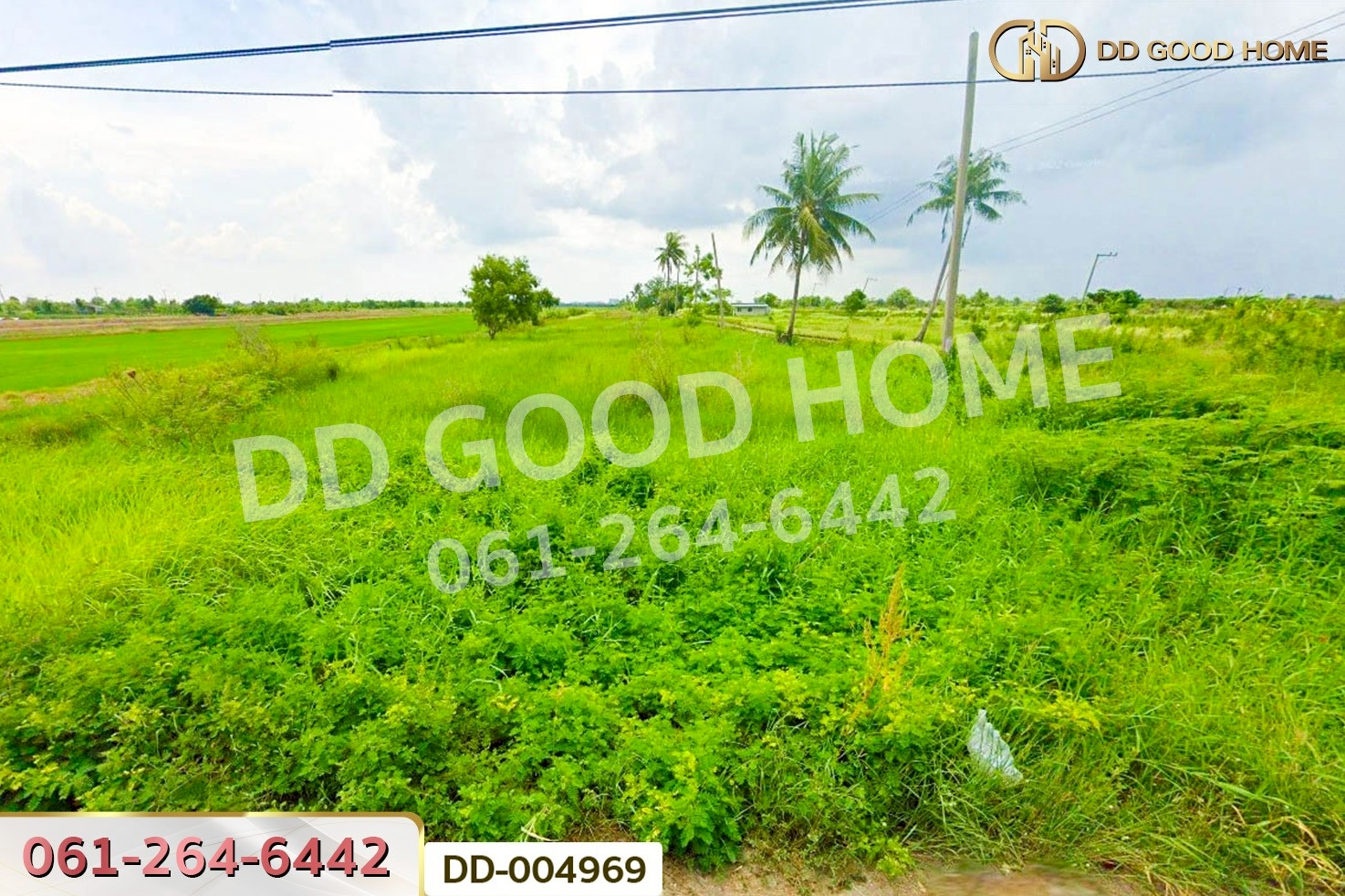 DD-004969 ที่ดินศีรษะกระบือ 52 ตร.ว. องครักษ์ นครนายก ใกล้มหาวิทยาลัยศรีนครินทรวิโรฒ องครักษ์