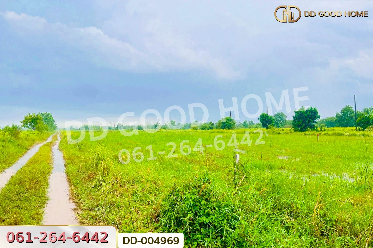 DD-004969 ที่ดินศีรษะกระบือ 52 ตร.ว. องครักษ์ นครนายก ใกล้มหาวิทยาลัยศรีนครินทรวิโรฒ องครักษ์