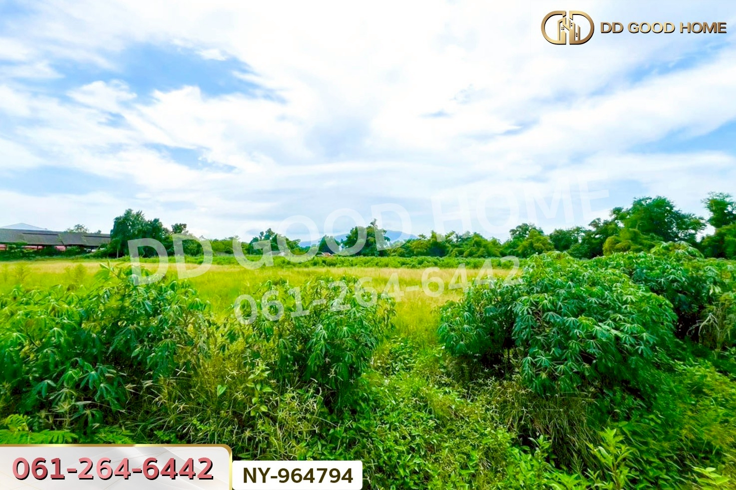 NY-964794 ที่ดินมาบไผ่ 10 ไร่ 391 ตร.ว. ชลบุรี ใกล้โรงเรียนนานาชาติเวลล์ส ชลบุรี