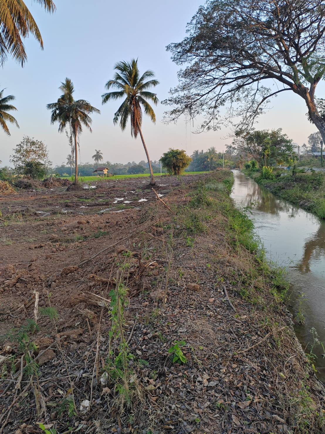 ขายที่ดินหน้ากว้าง รูปทรงชายธง ทำเลดีมาก – ต.ย่านยาว อ.เมือง จ.พิจิตร 