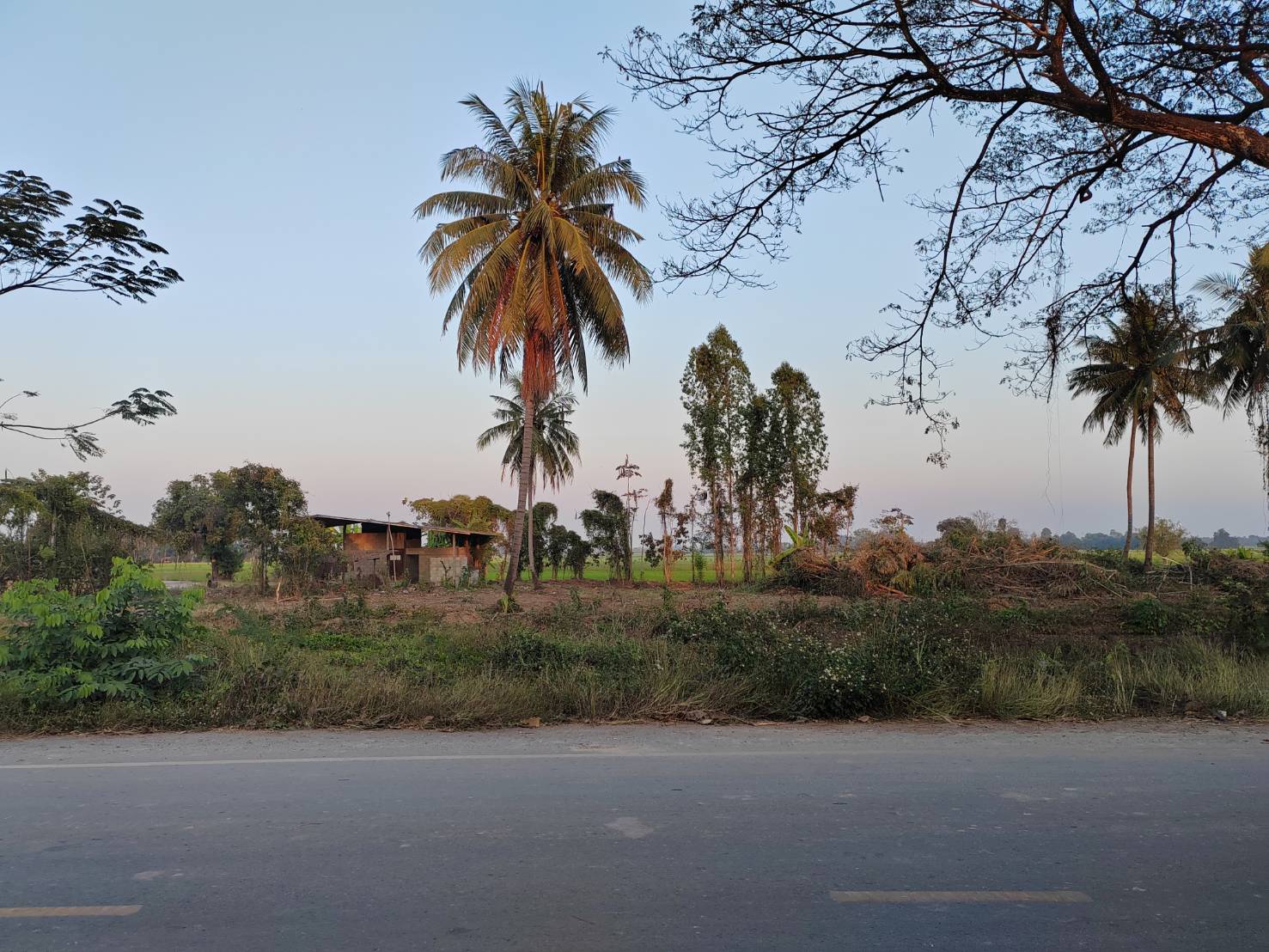 ขายที่ดินหน้ากว้าง รูปทรงชายธง ทำเลดีมาก – ต.ย่านยาว อ.เมือง จ.พิจิตร 