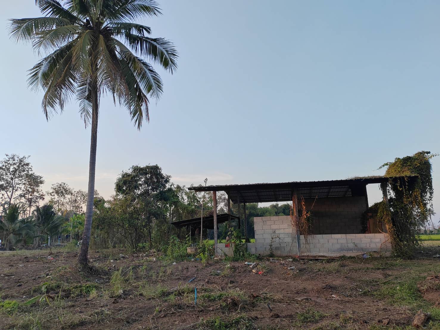 ขายที่ดินหน้ากว้าง รูปทรงชายธง ทำเลดีมาก – ต.ย่านยาว อ.เมือง จ.พิจิตร 