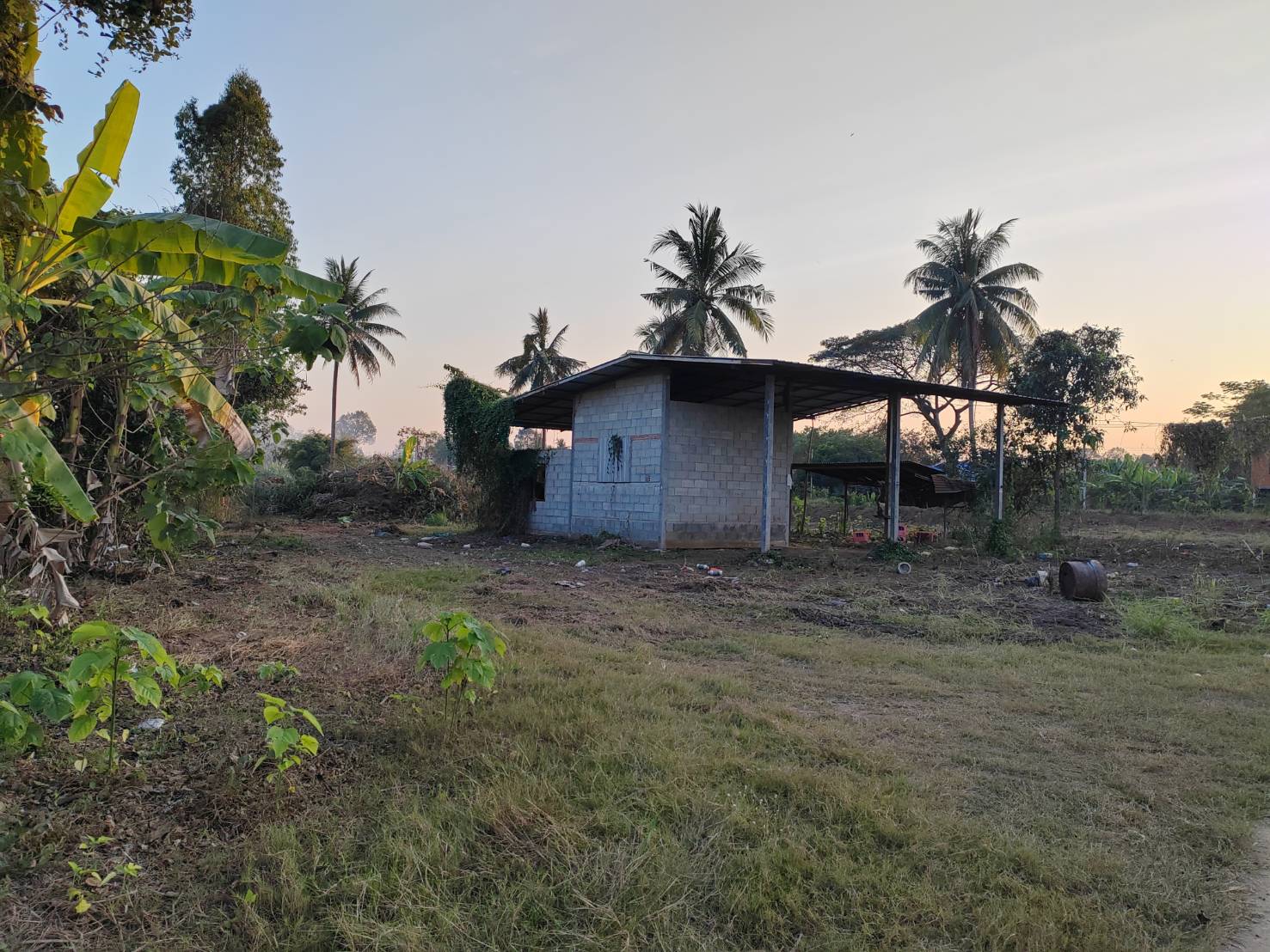 ขายที่ดินหน้ากว้าง รูปทรงชายธง ทำเลดีมาก – ต.ย่านยาว อ.เมือง จ.พิจิตร 