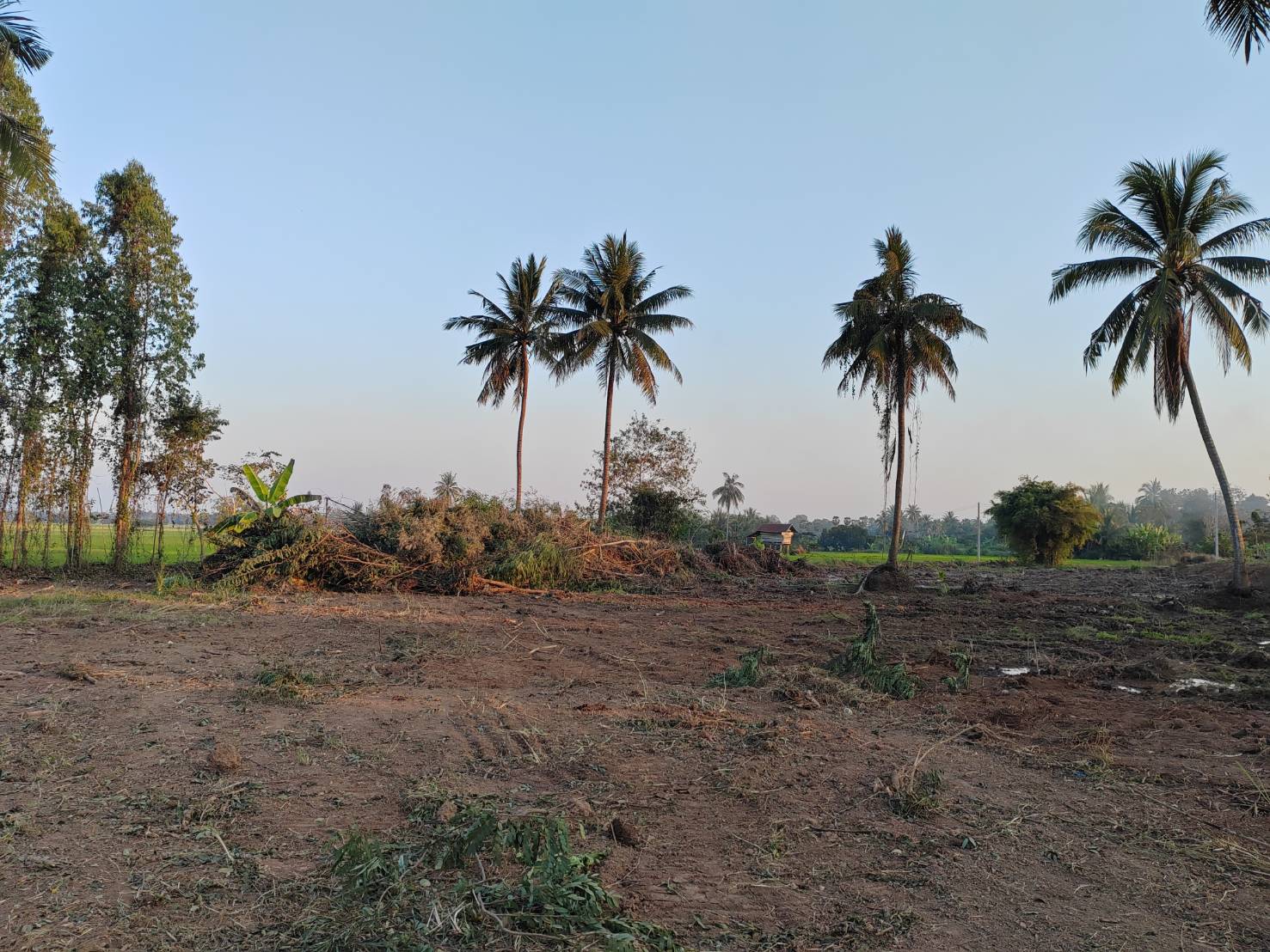 ขายที่ดินหน้ากว้าง รูปทรงชายธง ทำเลดีมาก – ต.ย่านยาว อ.เมือง จ.พิจิตร 