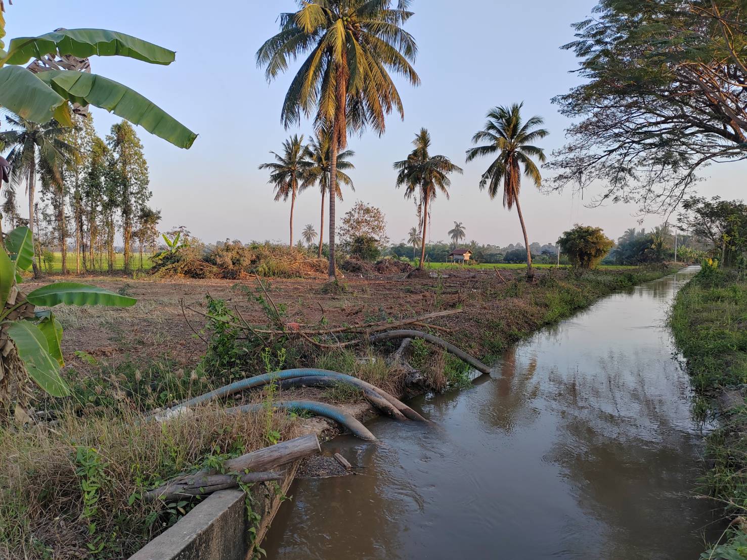 ขายที่ดินหน้ากว้าง รูปทรงชายธง ทำเลดีมาก – ต.ย่านยาว อ.เมือง จ.พิจิตร 