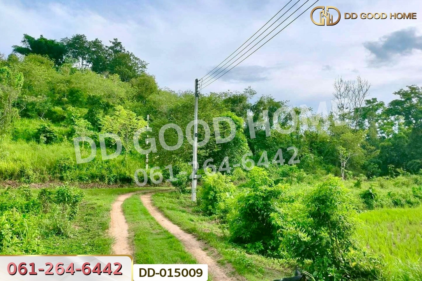 DD-015009 ที่ดินพร้อมสิ่งปลูกสร้างพาน 37 ไร่ 251.4 ตร.ว. เชียงราย ใกล้มหาวิทยาลัยเทคโนโลยีราชมงคลล้านนา