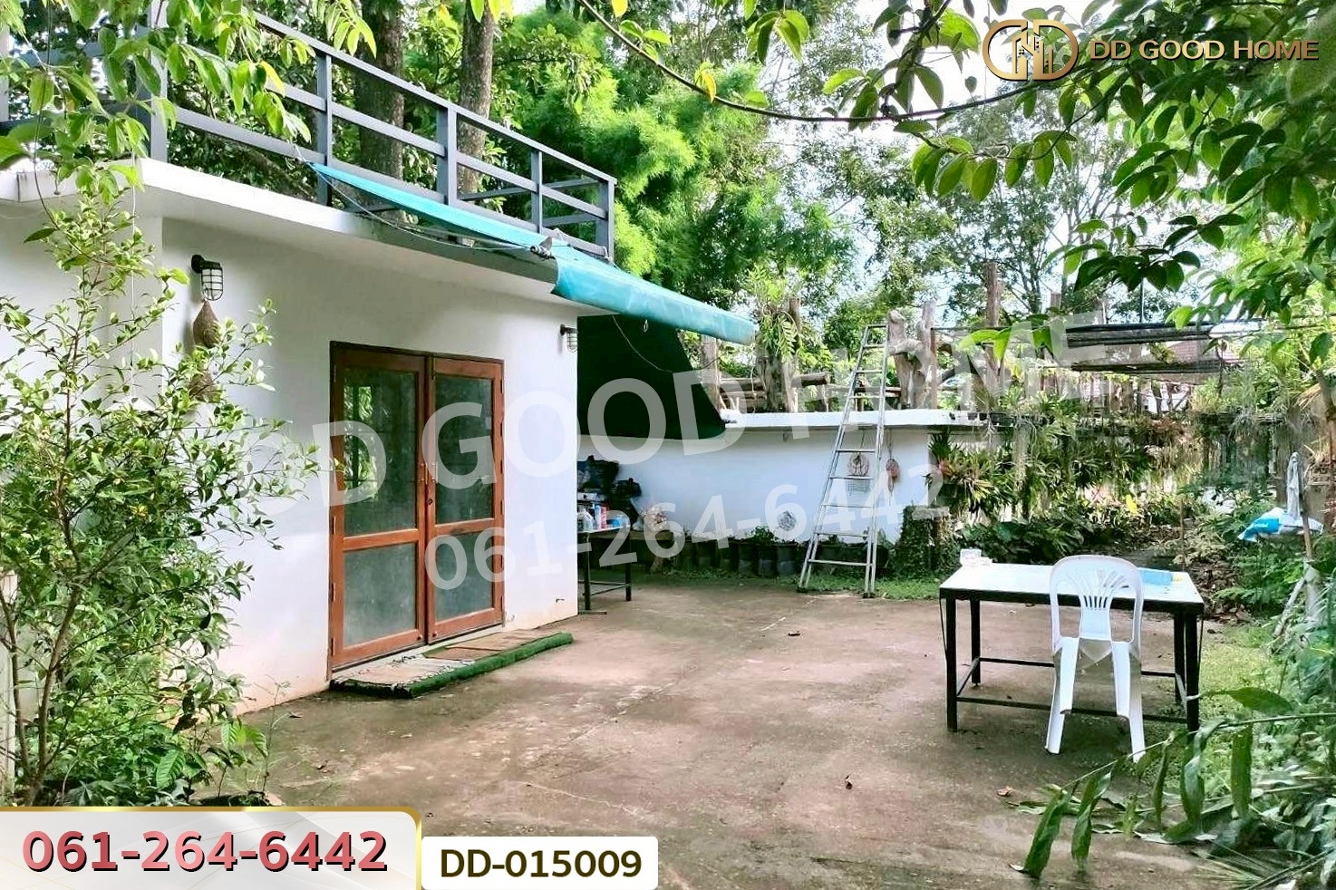 DD-015009 ที่ดินพร้อมสิ่งปลูกสร้างพาน 37 ไร่ 251.4 ตร.ว. เชียงราย ใกล้มหาวิทยาลัยเทคโนโลยีราชมงคลล้านนา