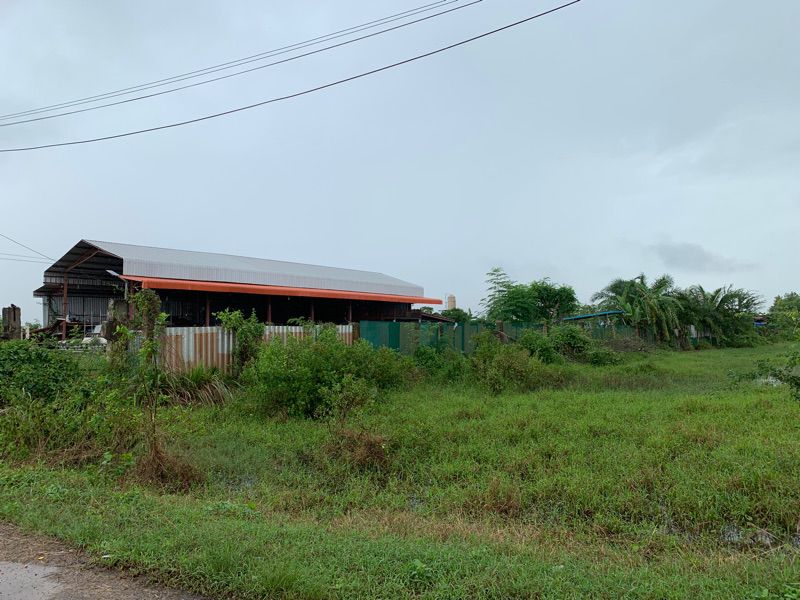 ขายที่ดินเปล่า ทำเลดี อำเภอกาญจนดิษฐ์ จังหวัดสุราษฎร์ธานี