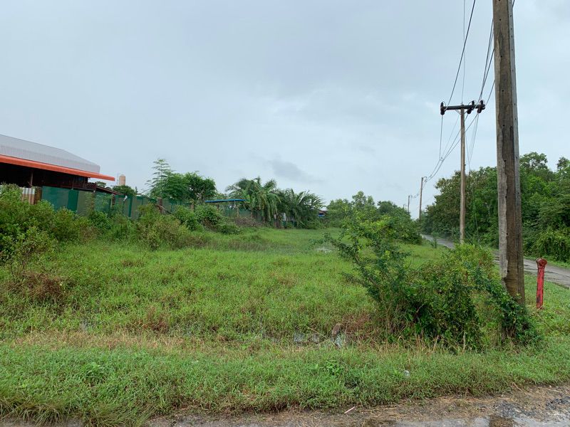 ขายที่ดินเปล่า ทำเลดี อำเภอกาญจนดิษฐ์ จังหวัดสุราษฎร์ธานี